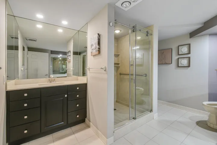 Master Bath Shower