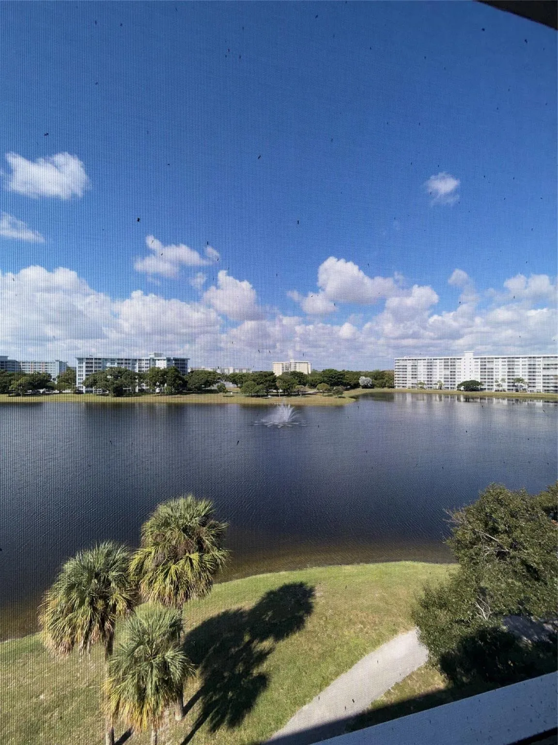 View from Living Room and Bedroom