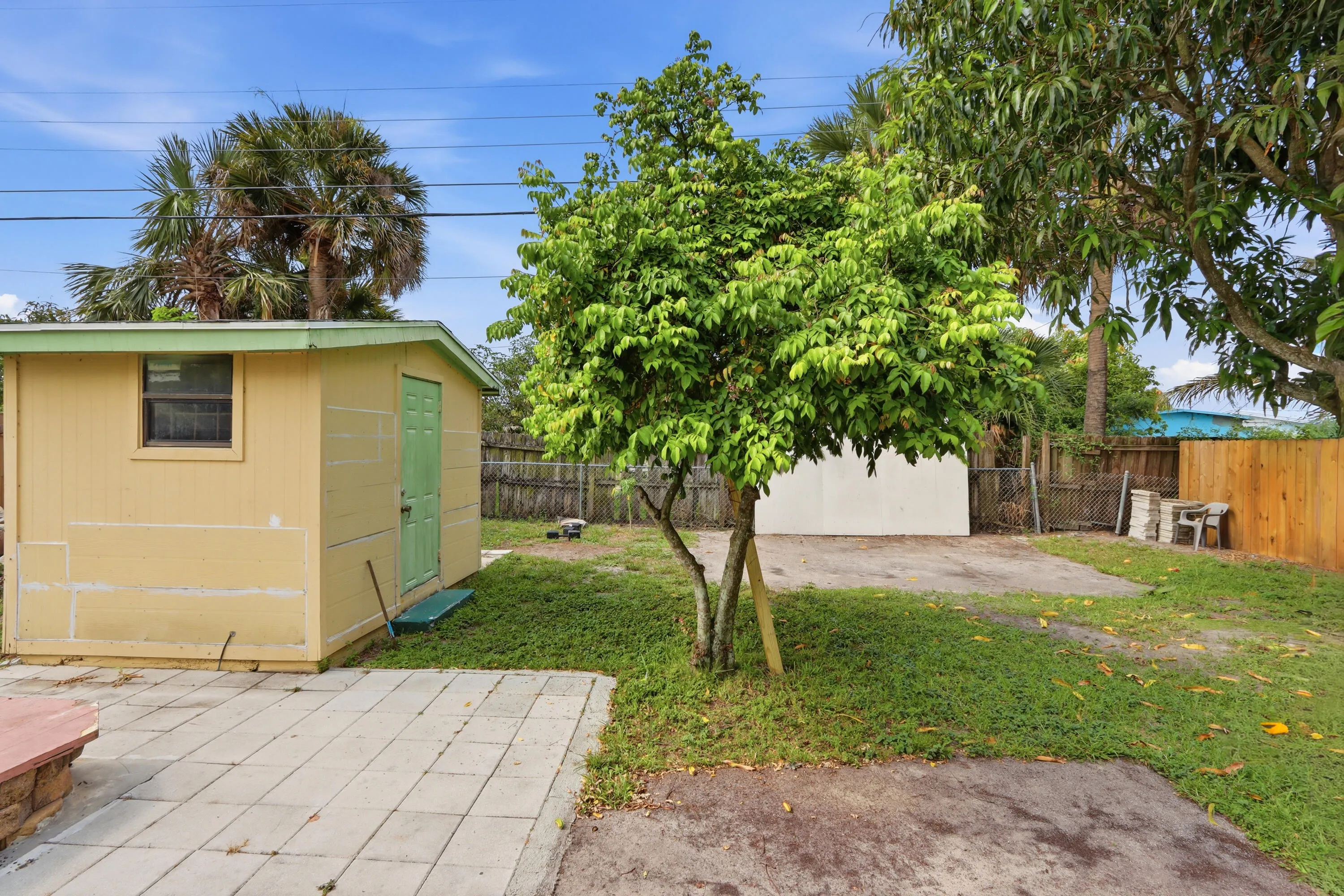 Back Yard