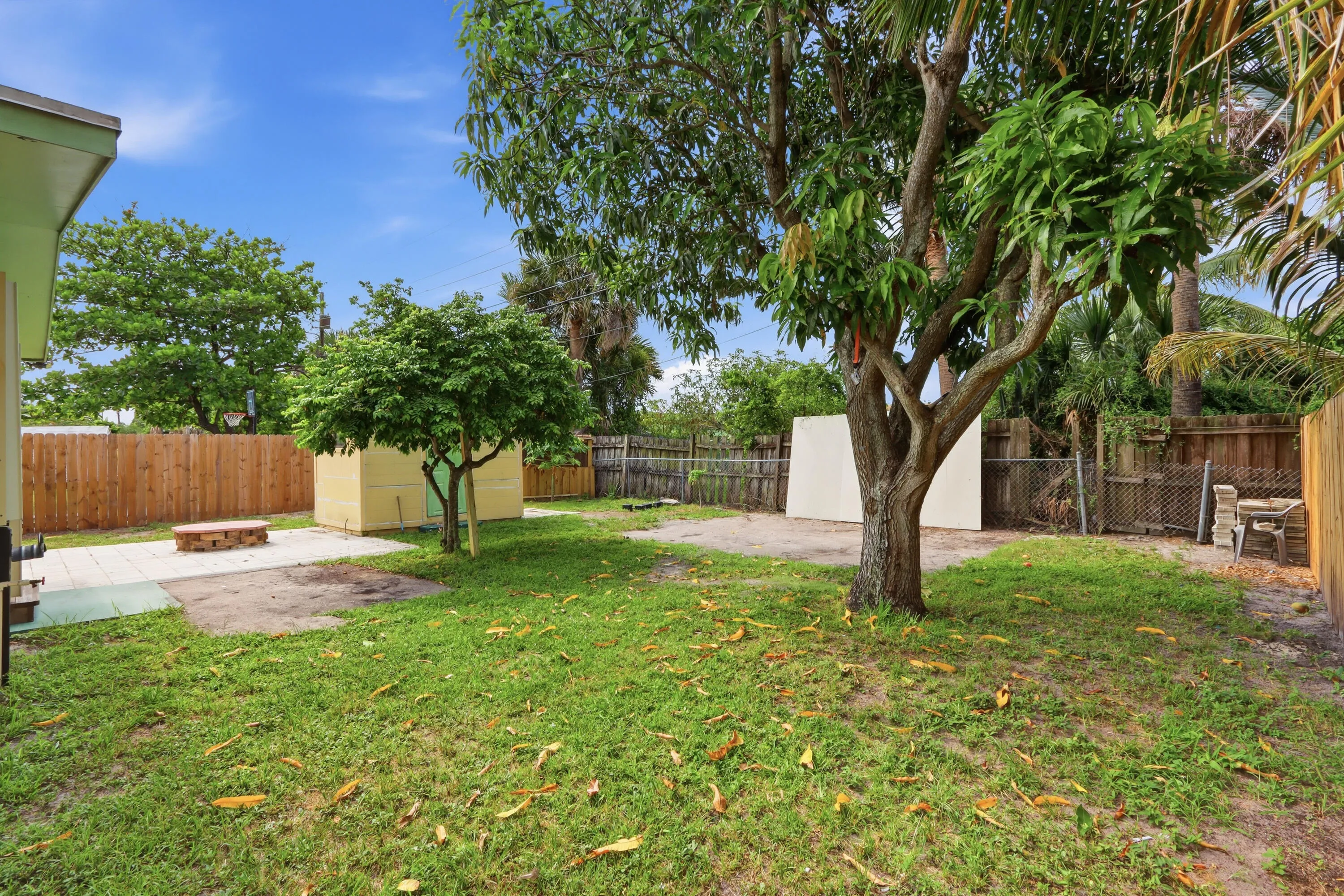 Back Yard 2