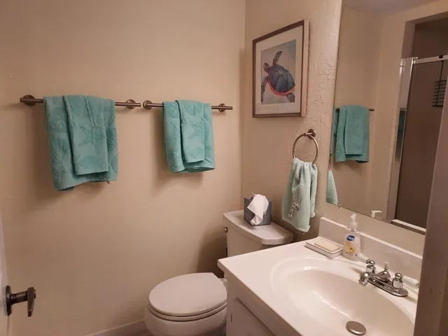 Guest bathroom