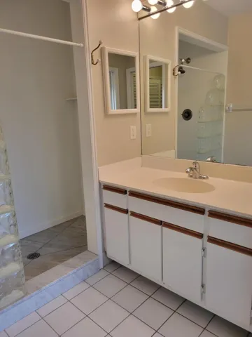 Master bath vanity and shower