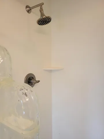 Updated hardware in master shower.
