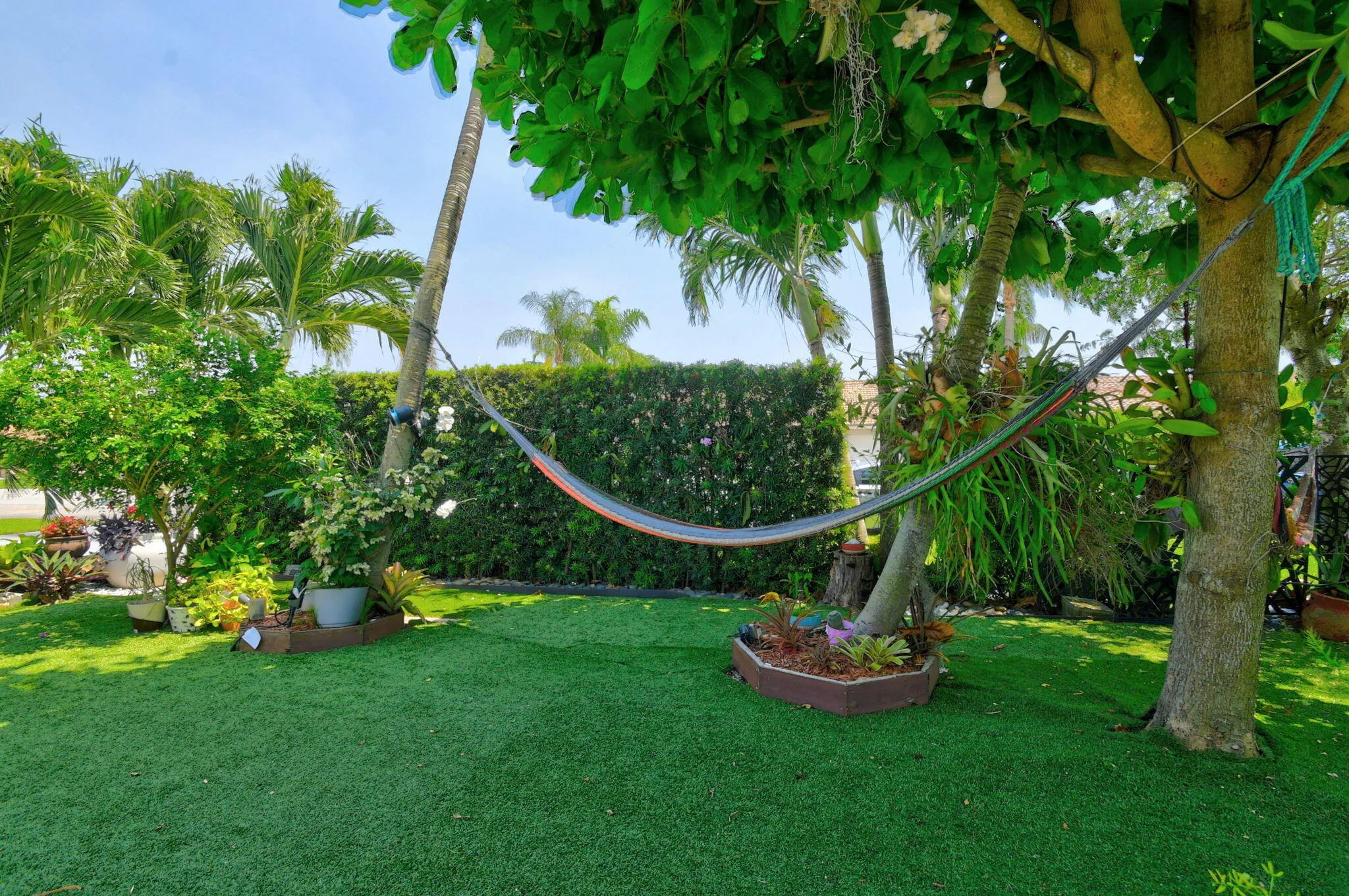 Front Yard