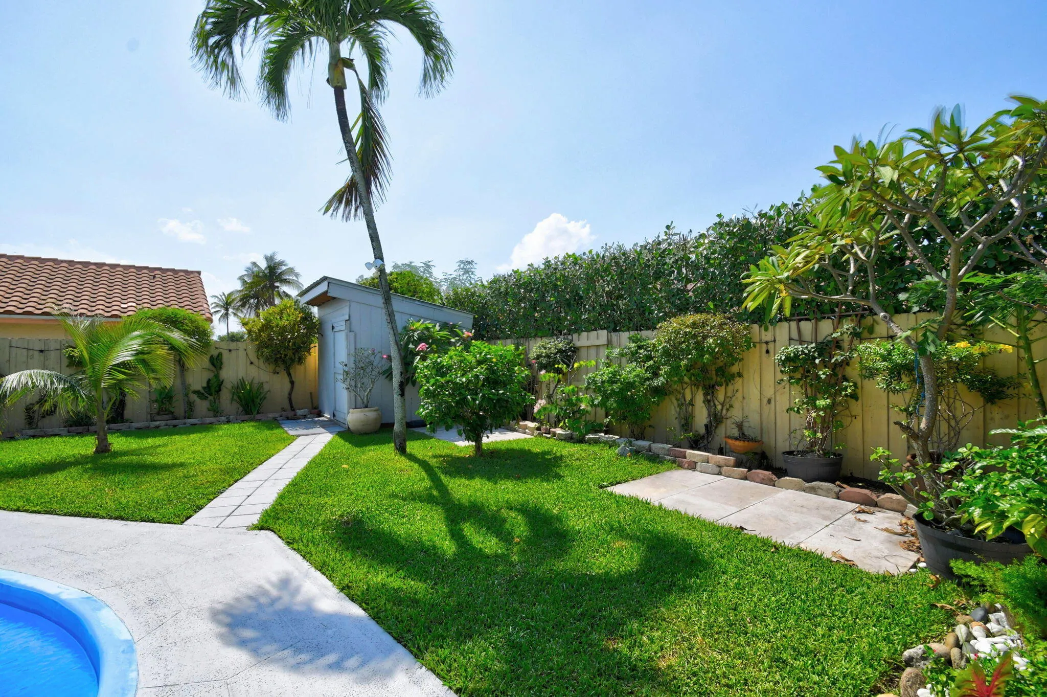 Backyard