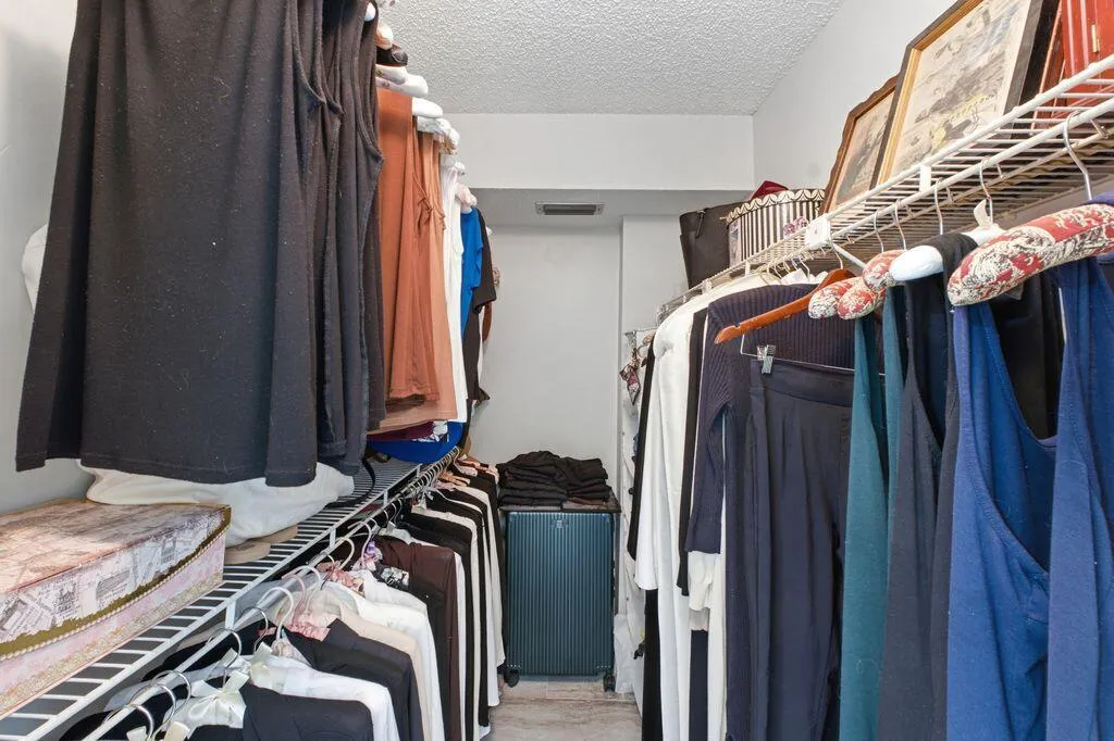 Primary Closet