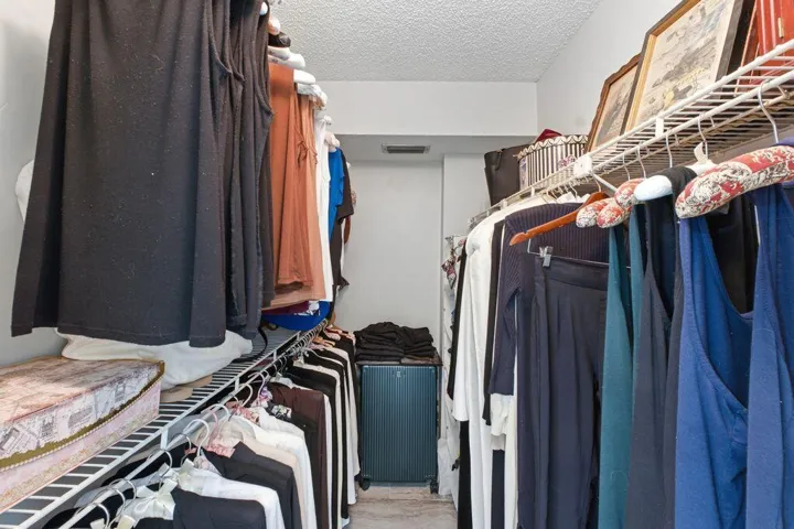 Primary Closet