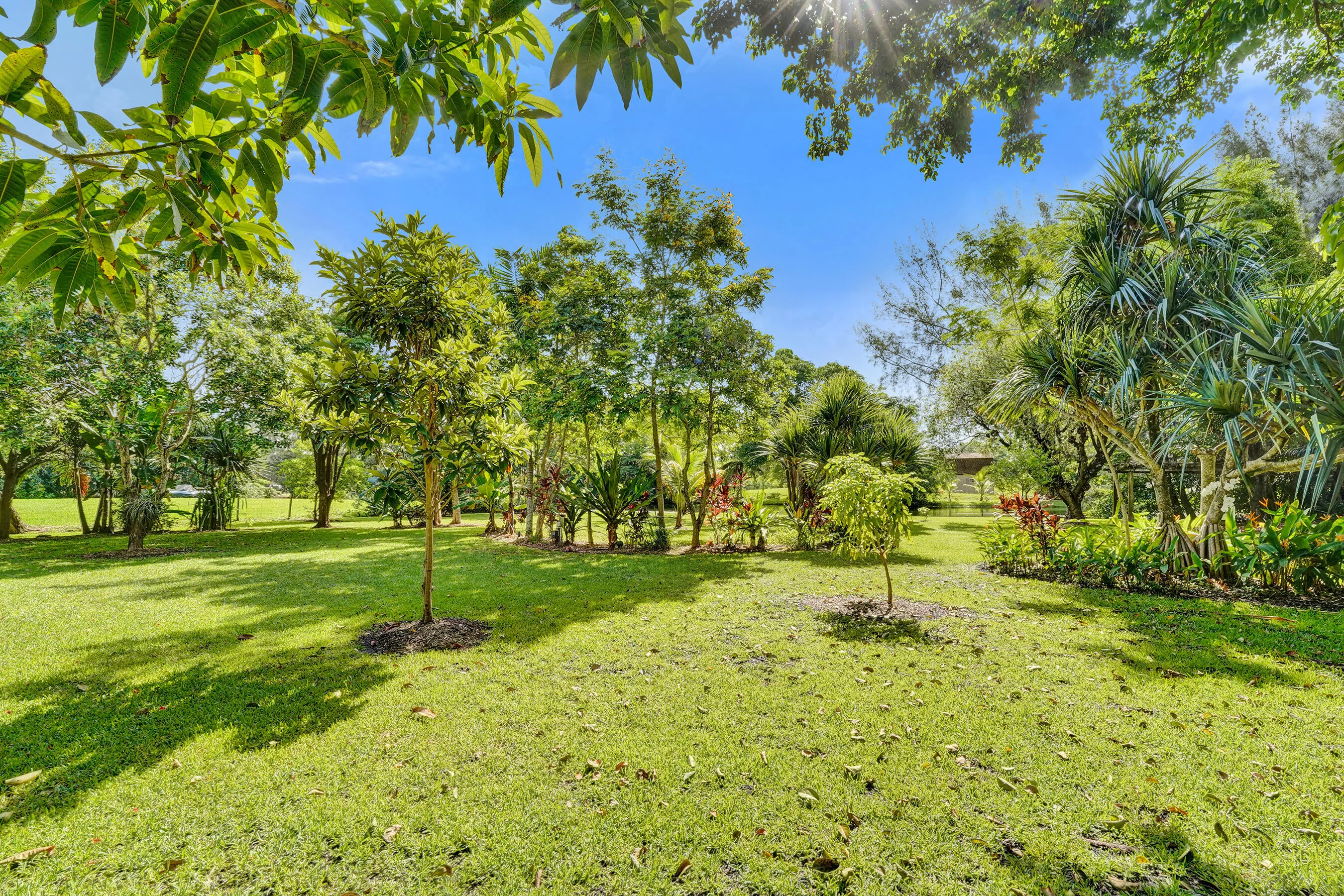 Spacious Backyard Oasis