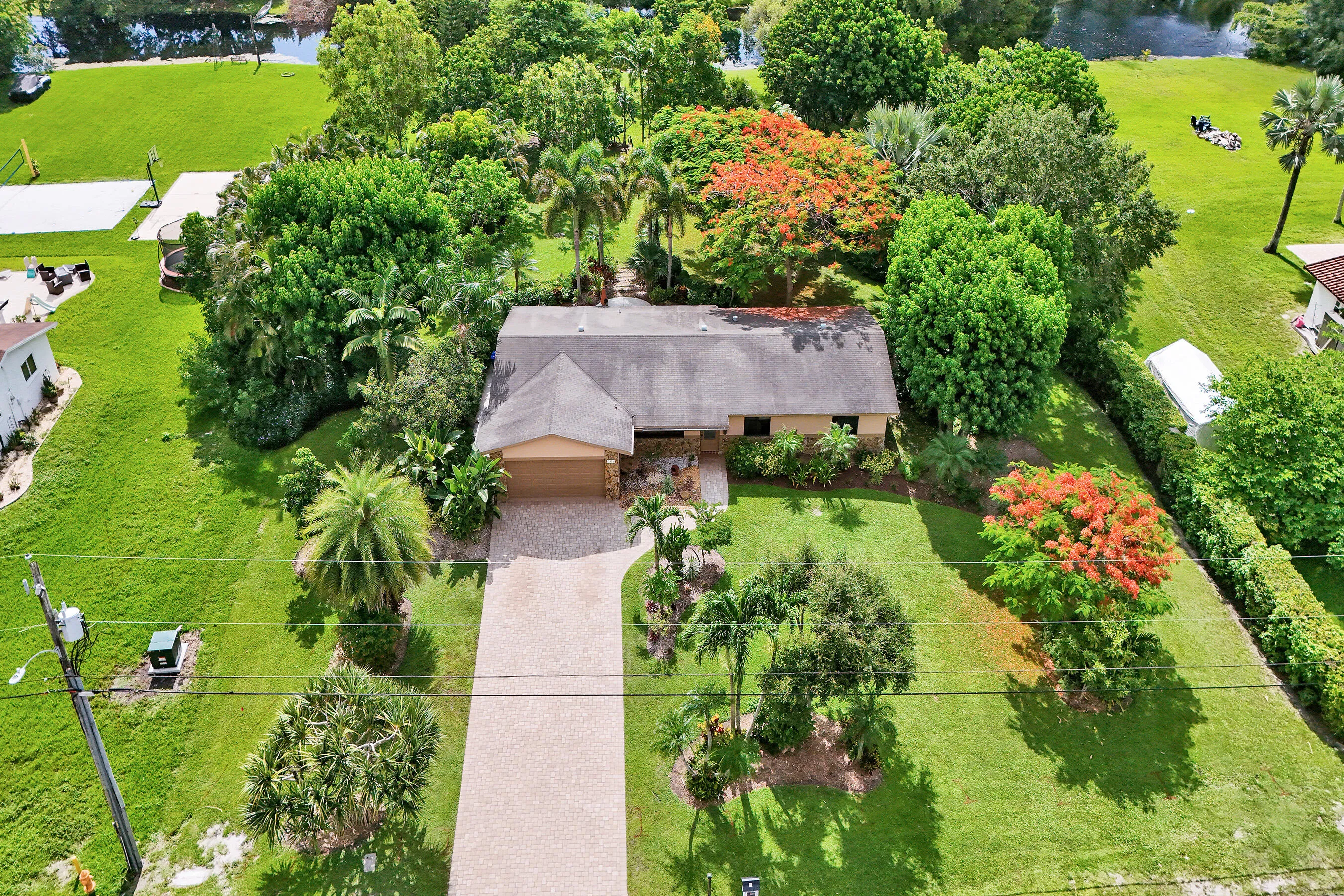 Aerial View of Lush Tropical