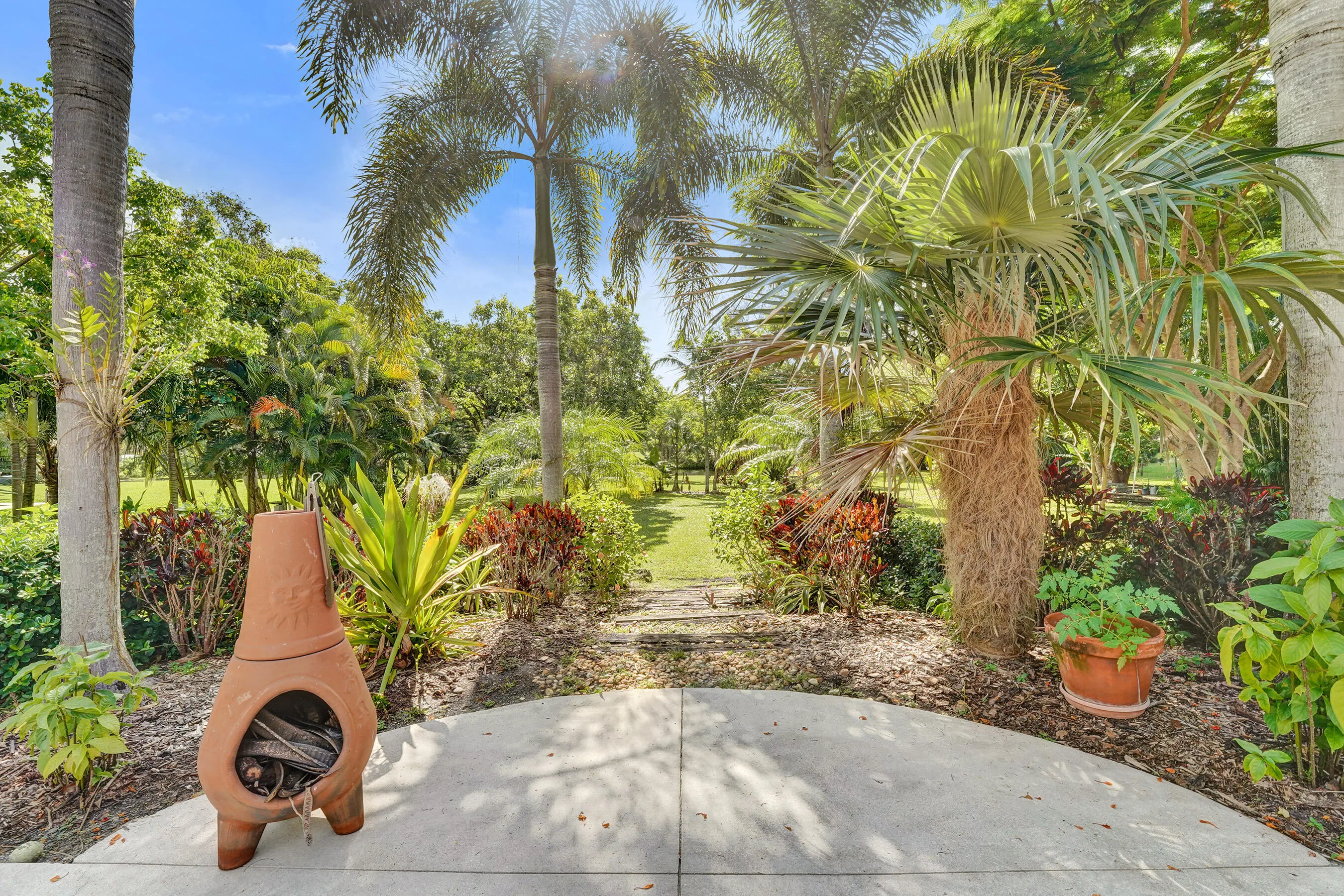 Lush Tropical Surroundings