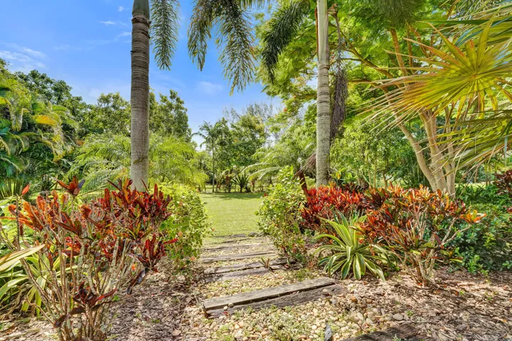 Tropical Garden Pathway