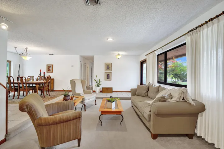 Light-Filled Living Room