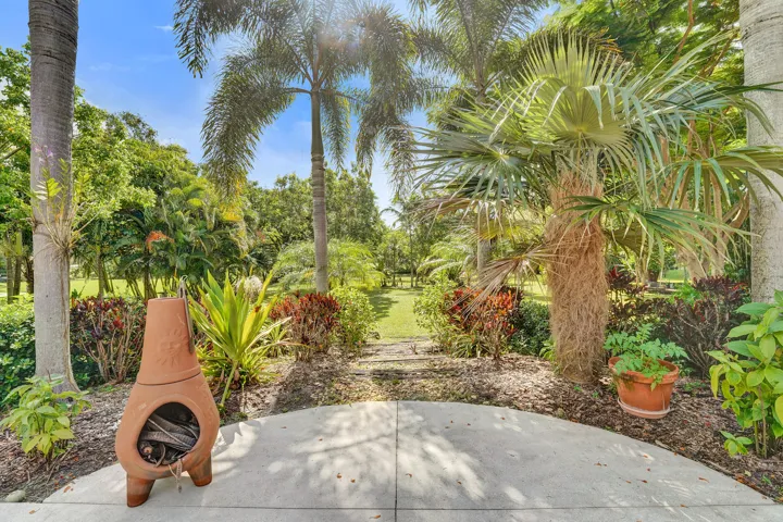 Lush Tropical Surroundings