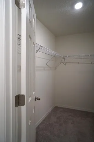 Walk-in closet featuring wire shelving, recessed lighting, white trim, and gray carpeting