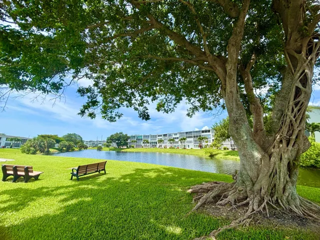Waterview from Dining Room