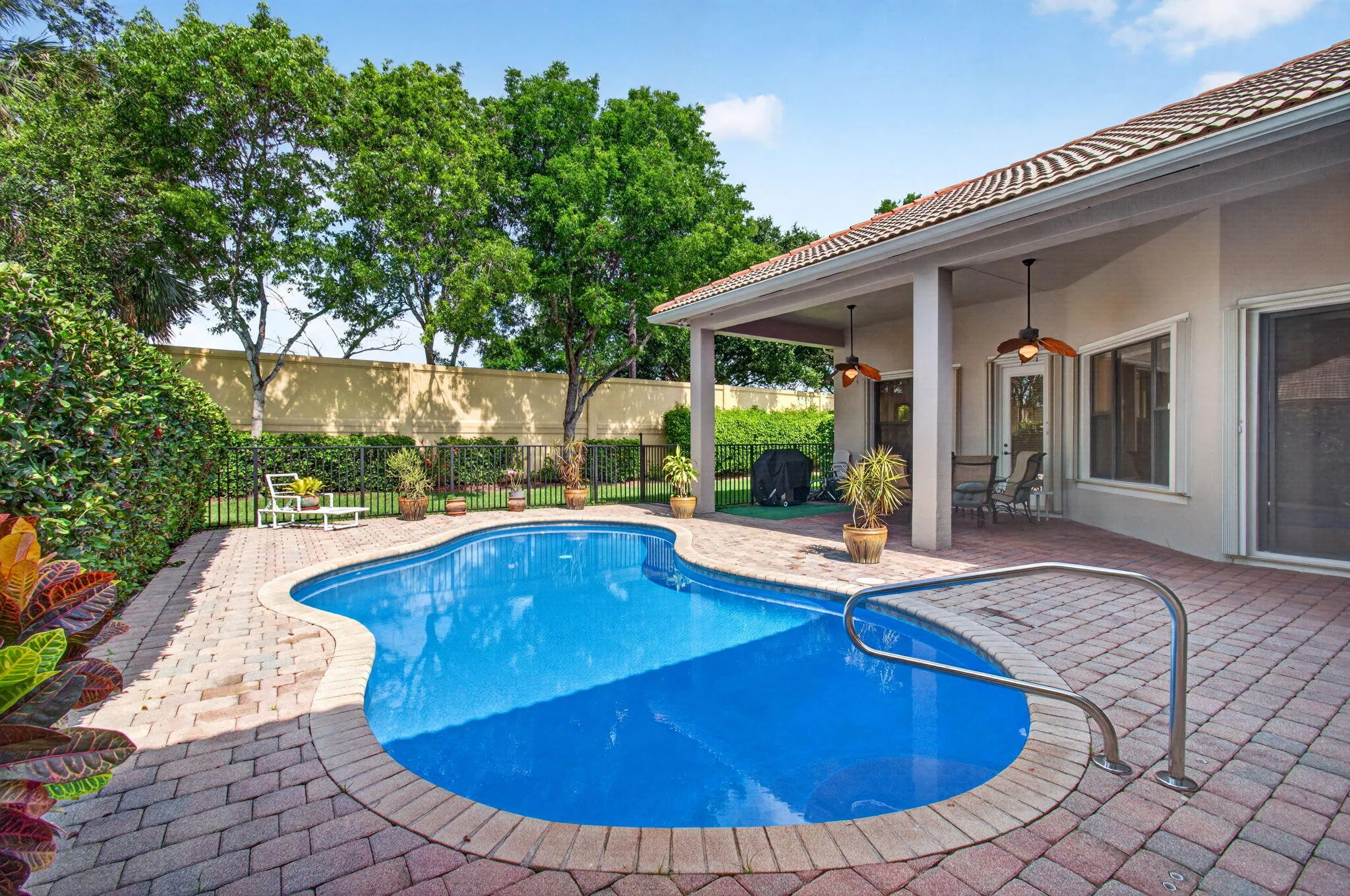 Backyard