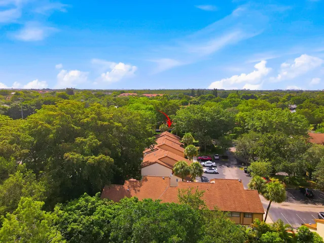 45_03_008_dji_fly_20260618_101424_504_17