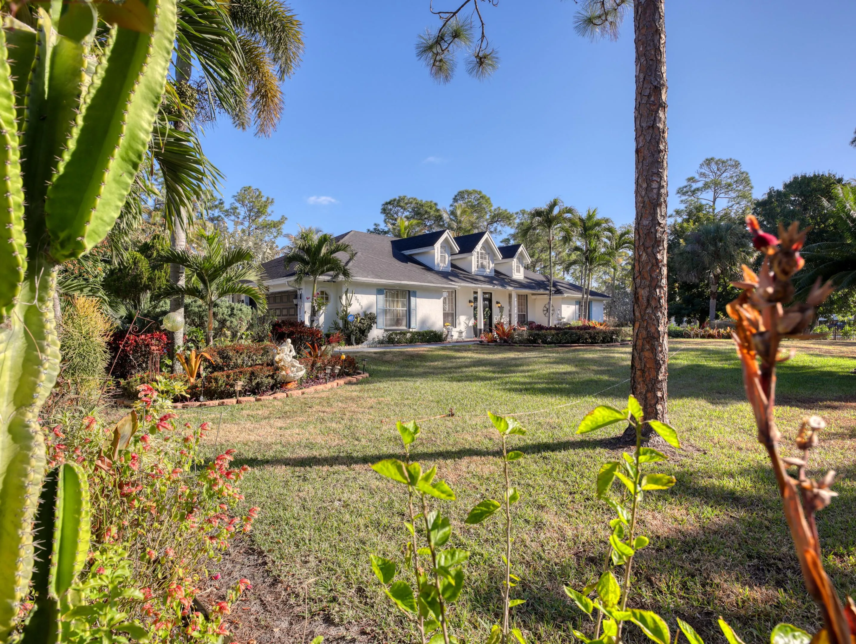 Front yard with beautiful flowers and foliage.