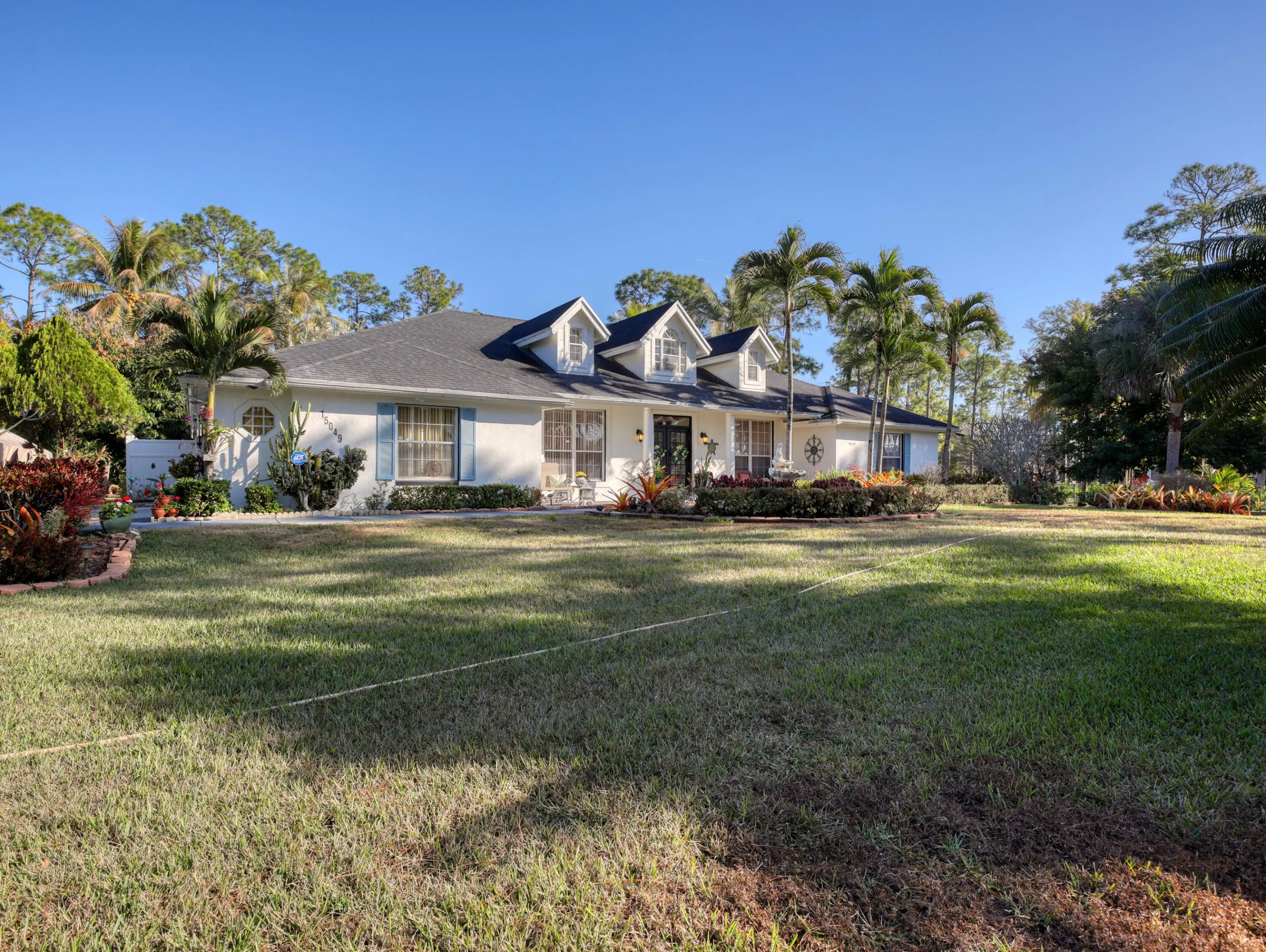 Front Yard