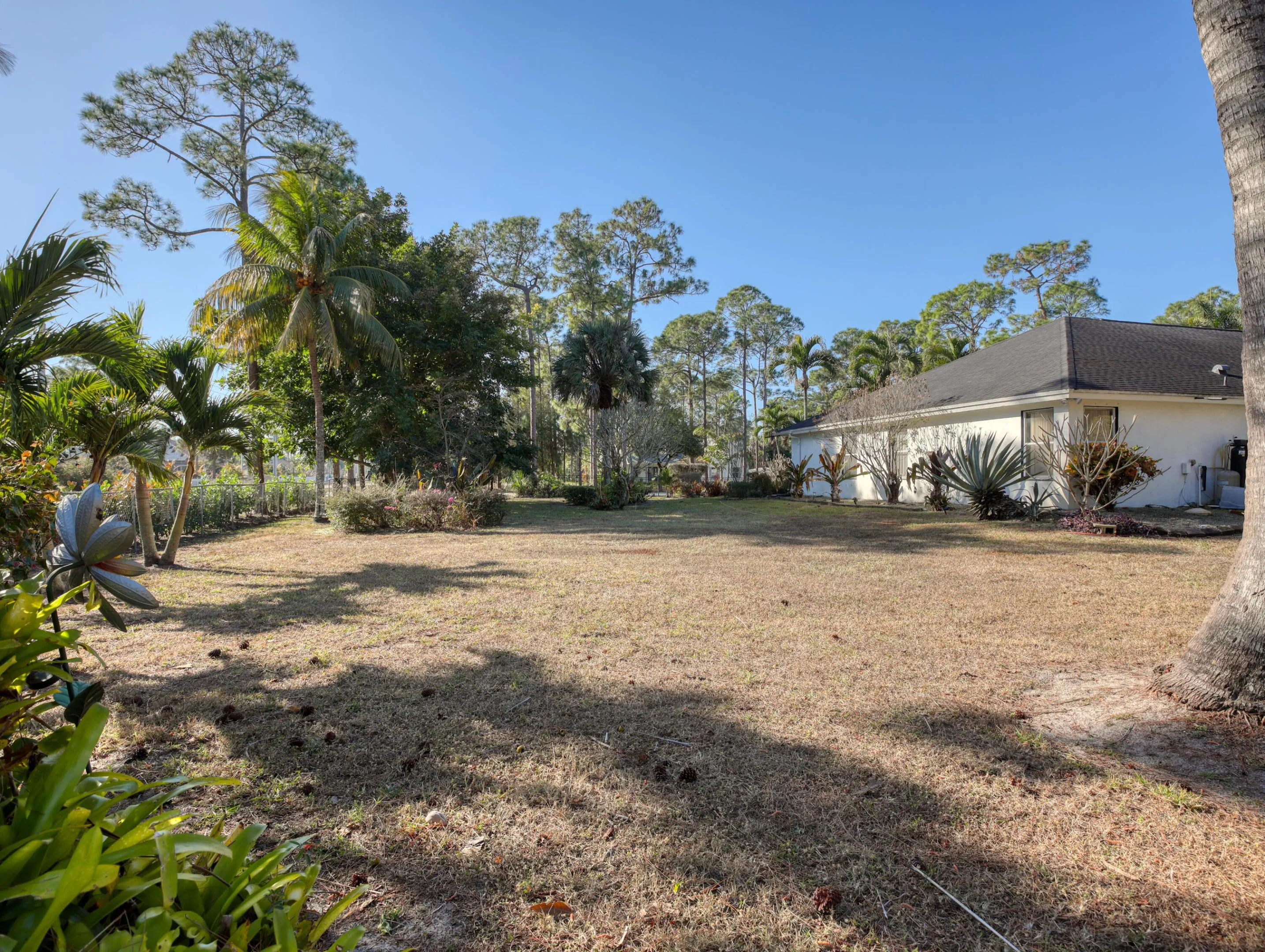 Large yard with multiple fruit trees
