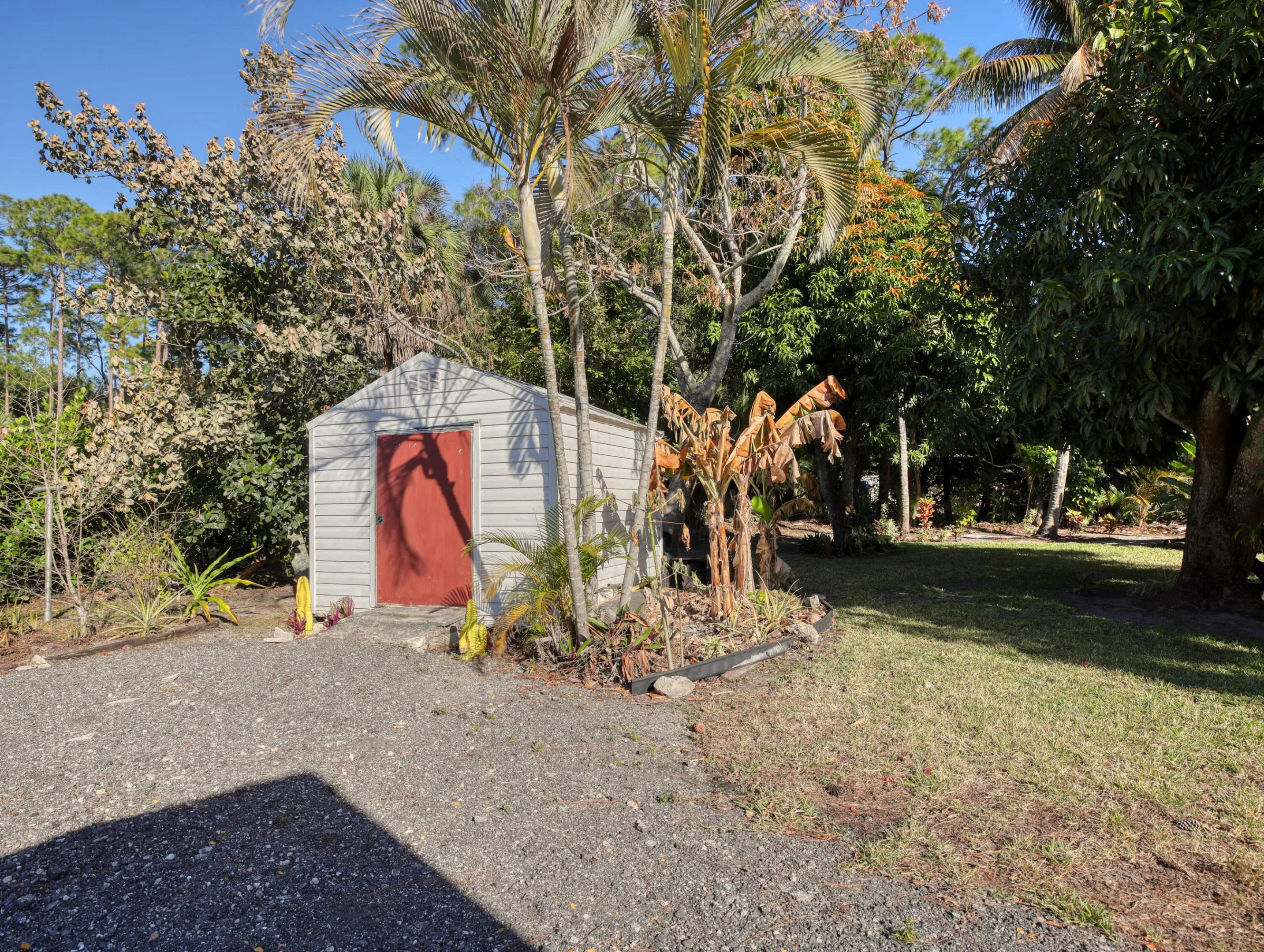 Shed