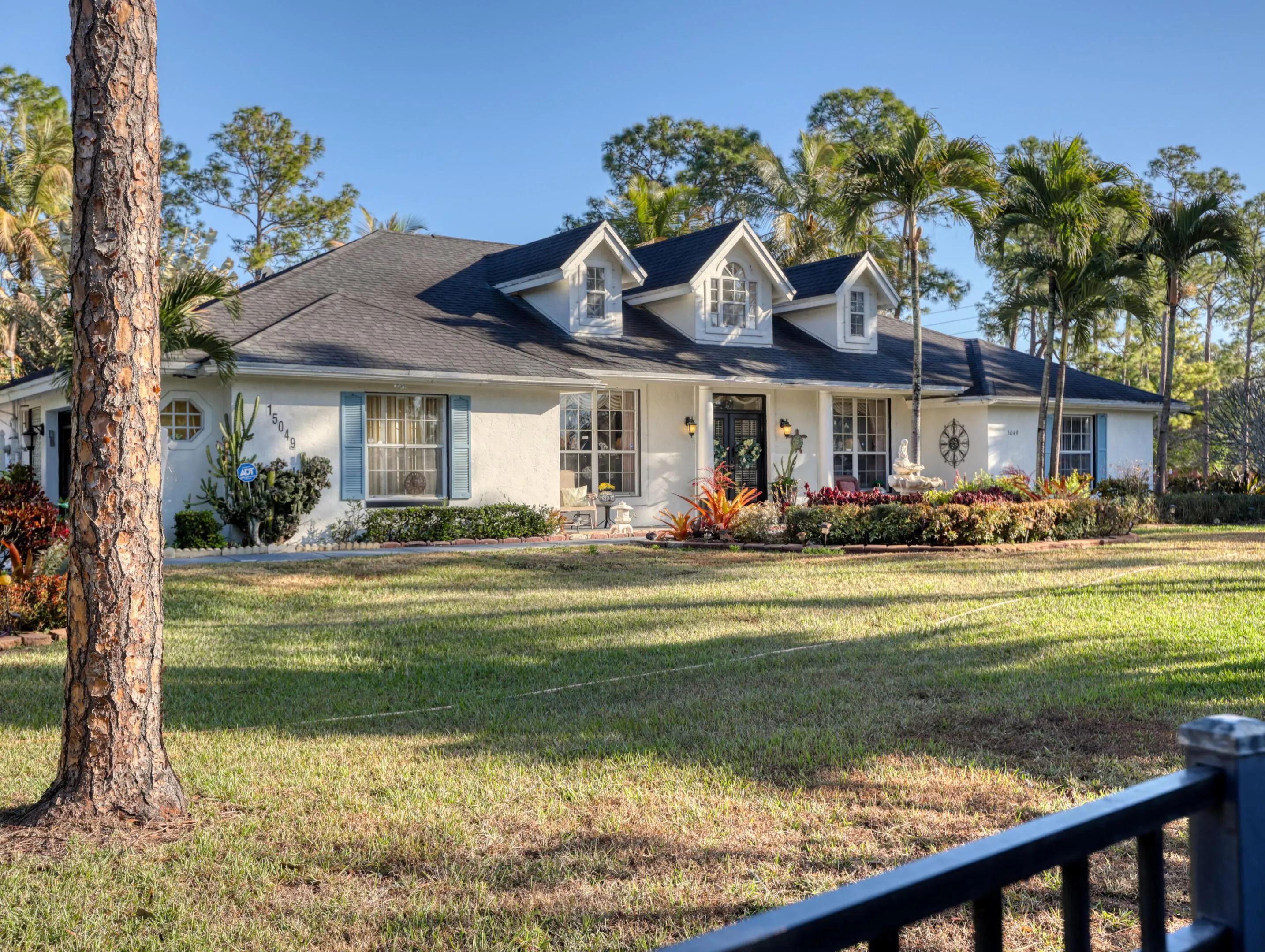 Front Yard
