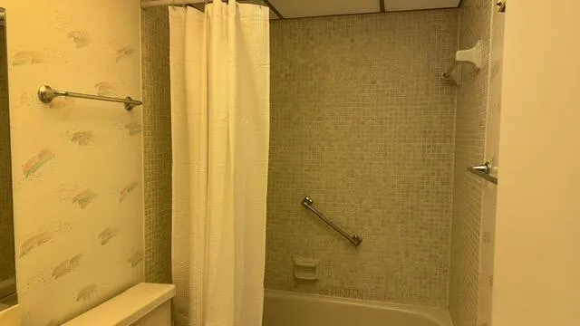 Full Hallway Bathroom