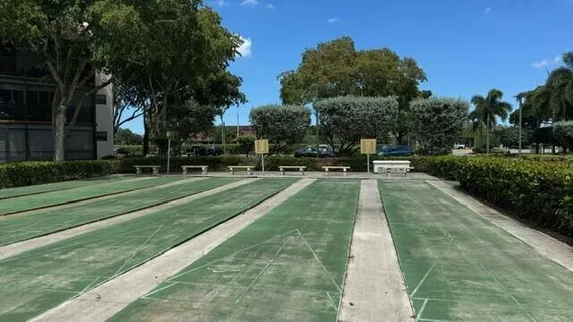 Shuffle Board
