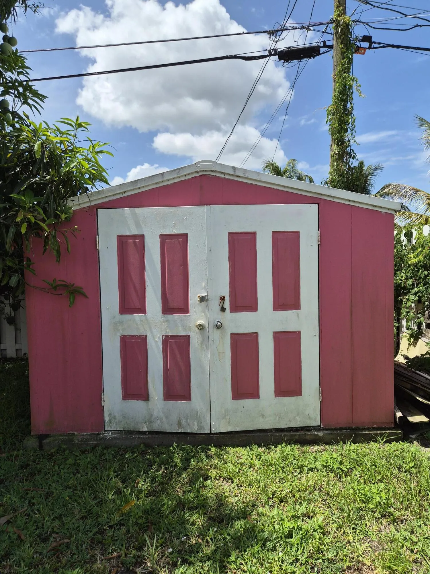 Shed