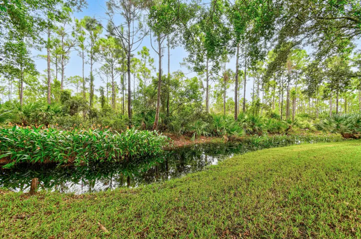 7880SEPeppercornCt(56)