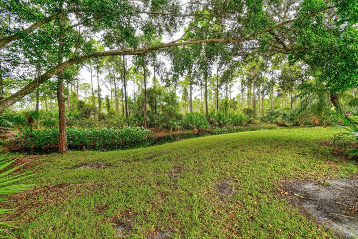 7880SEPeppercornCt(55)