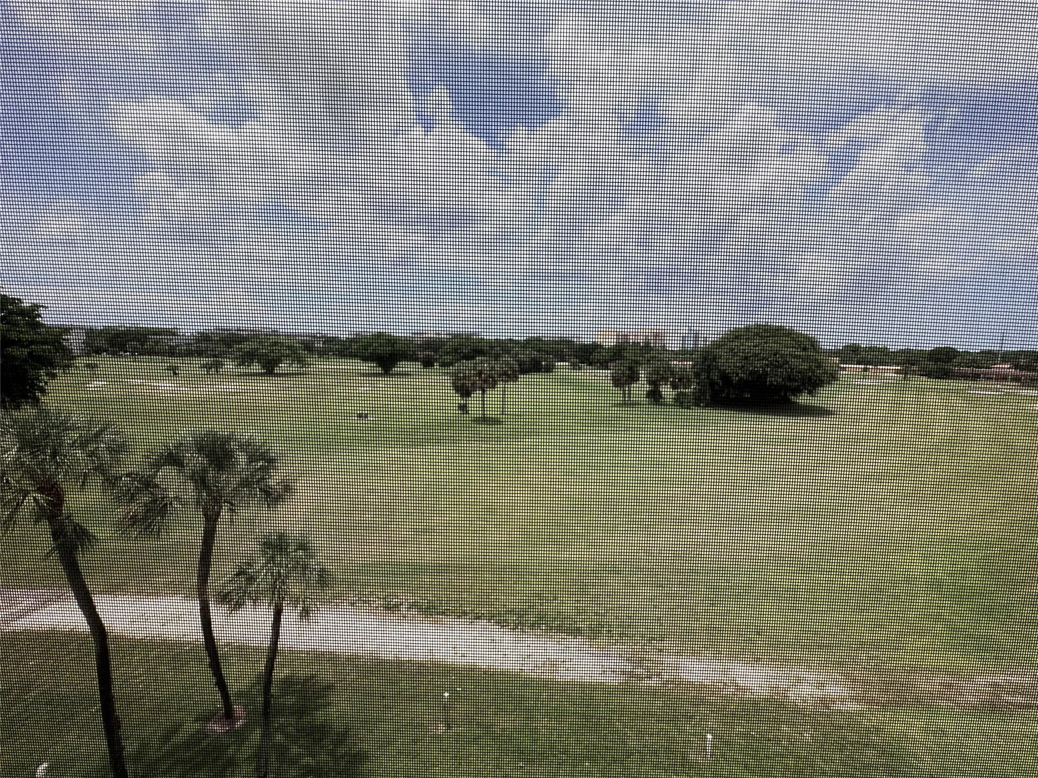 Golf view