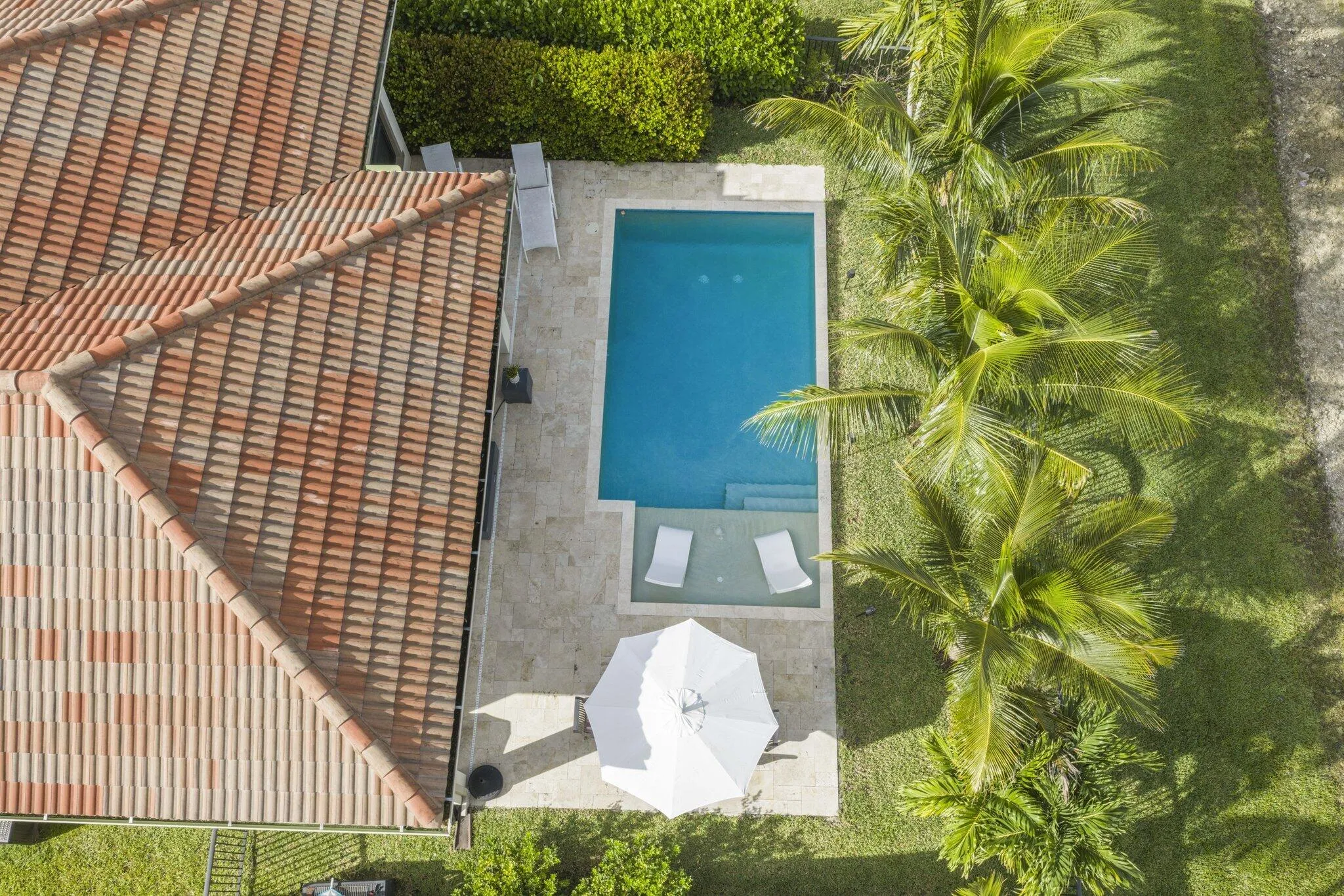 Aerial Shot
