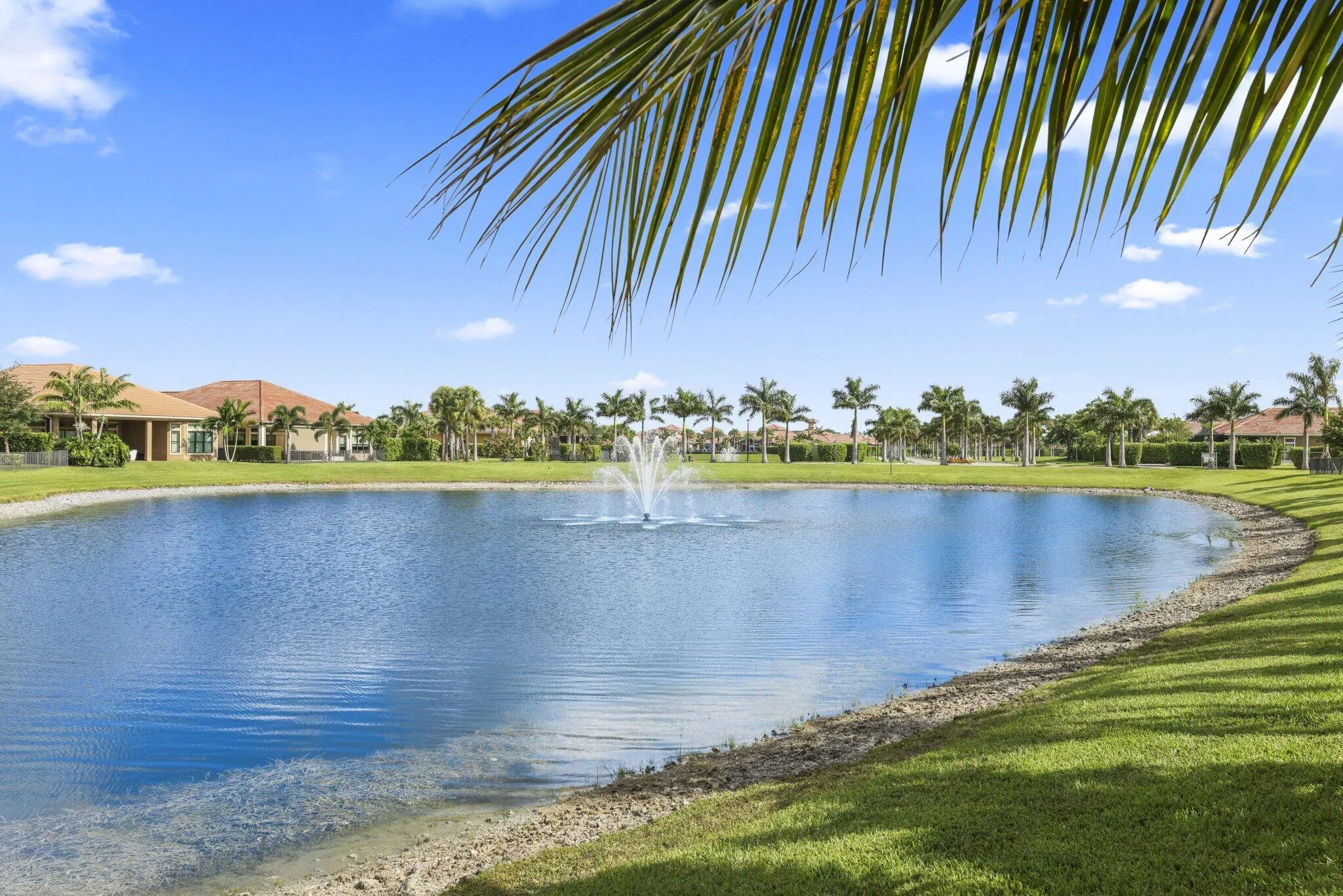 Pond w/ Fountain
