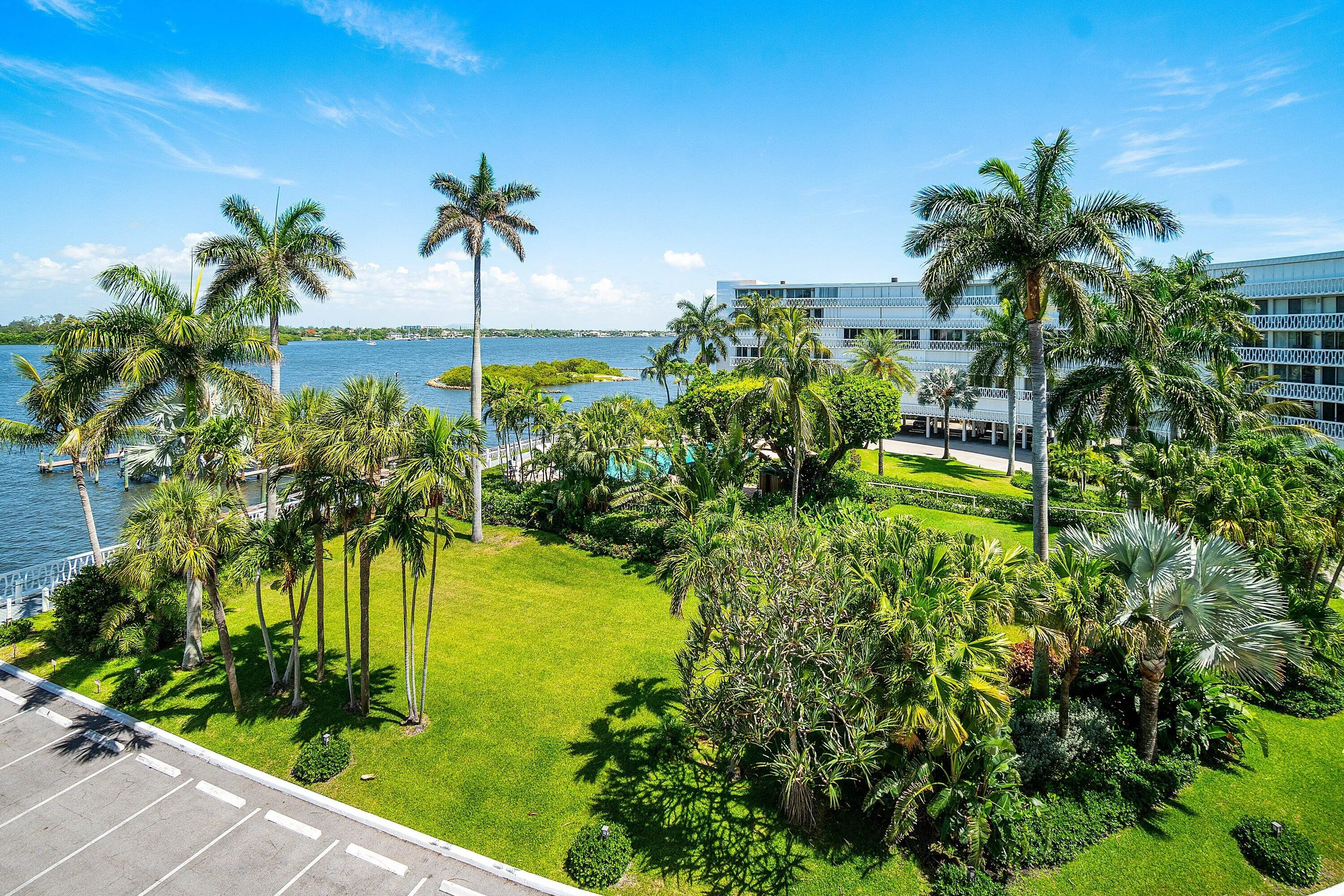 Palm Trees & Intracoastal