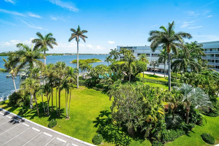 Palm Trees & Intracoastal