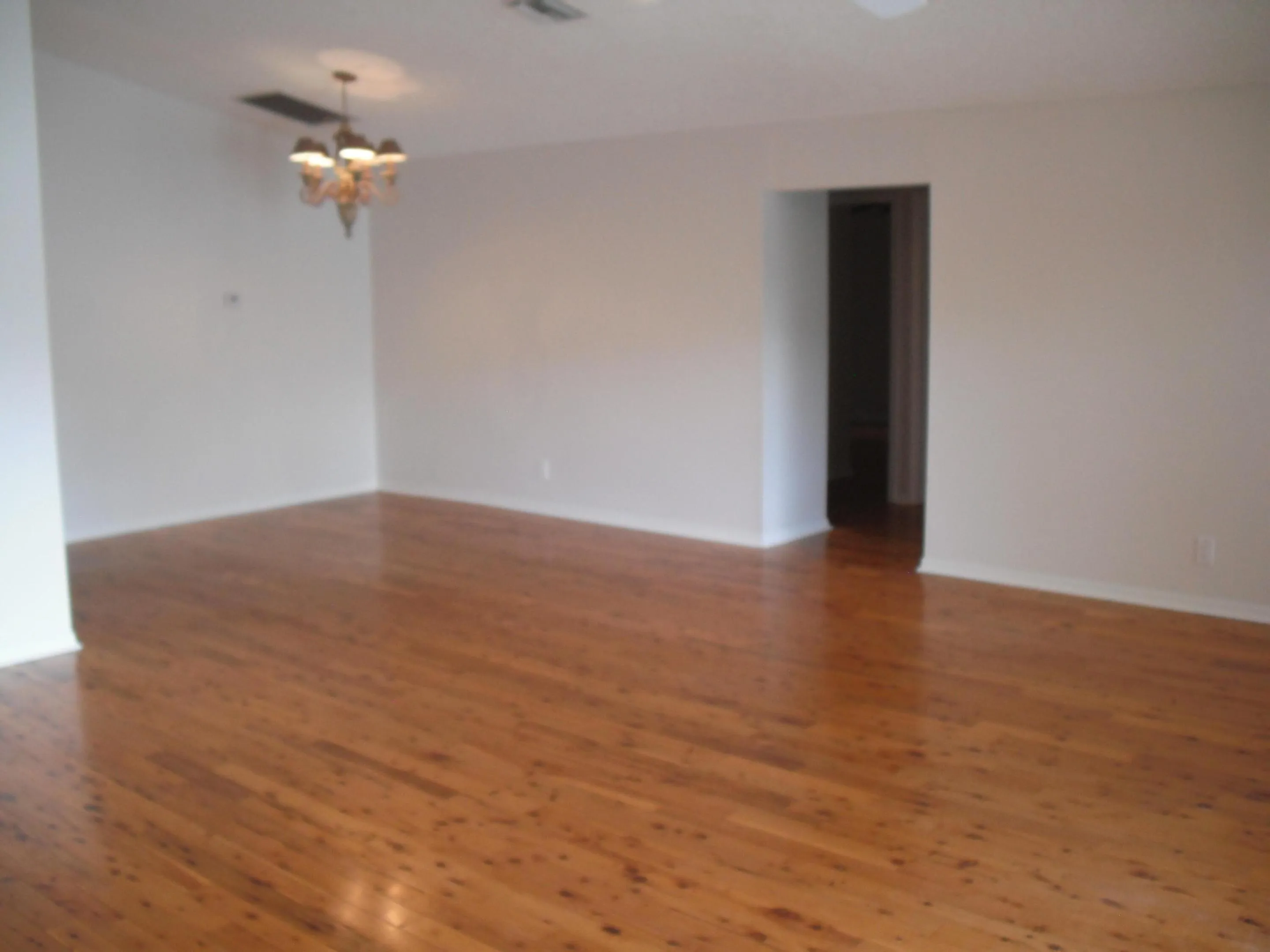 1382 LR DR