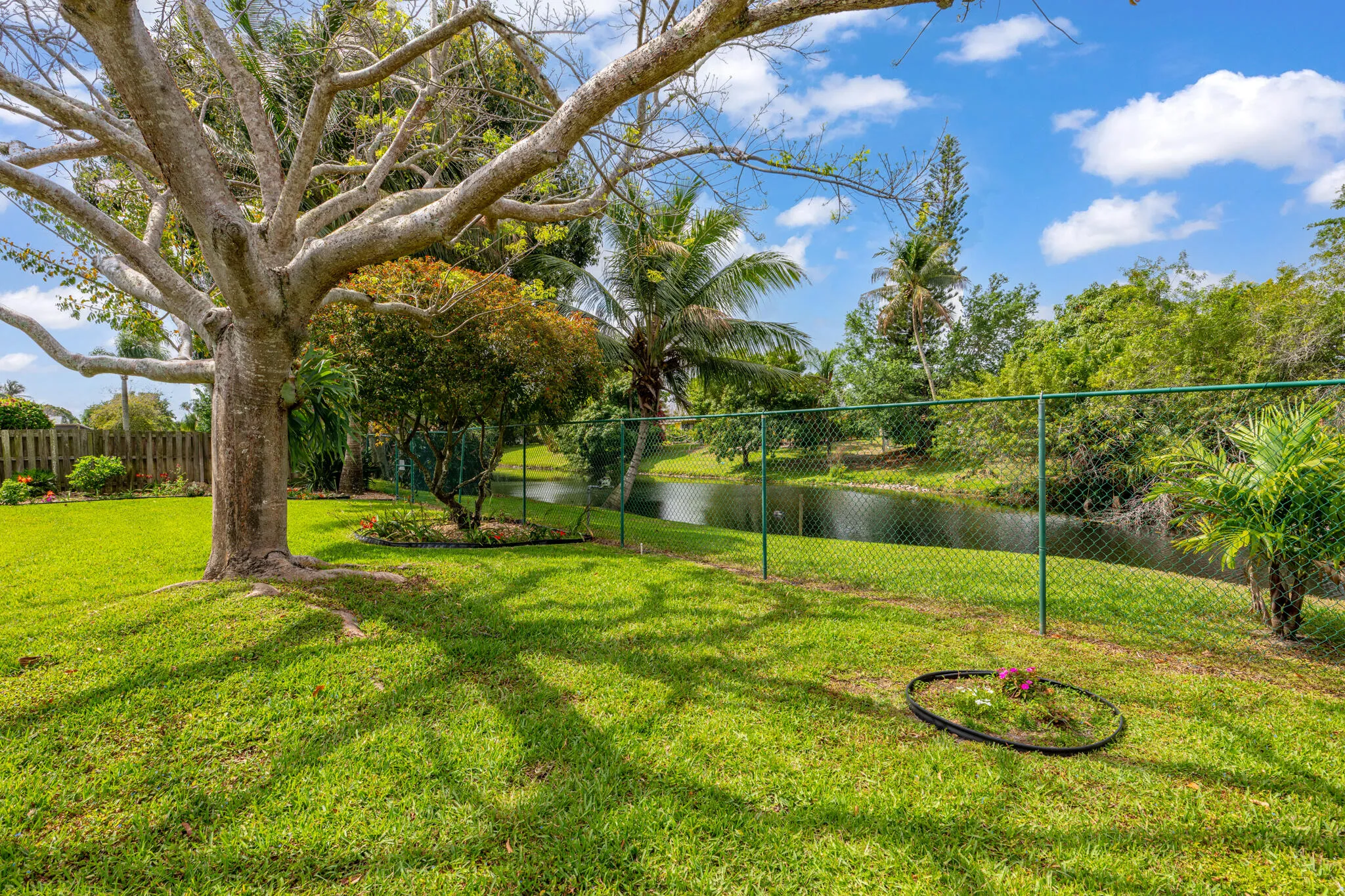 Fenced Yard
