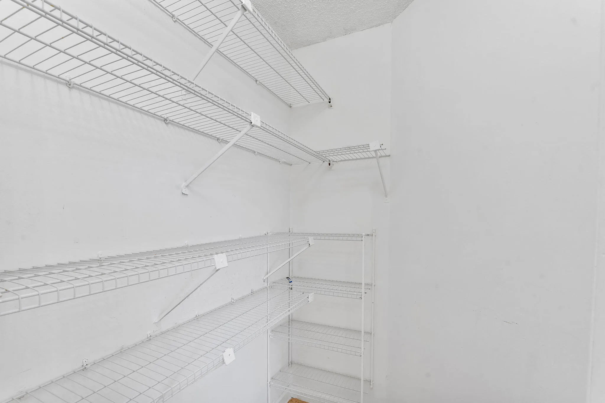 12-web-or-mls-DSC09708
