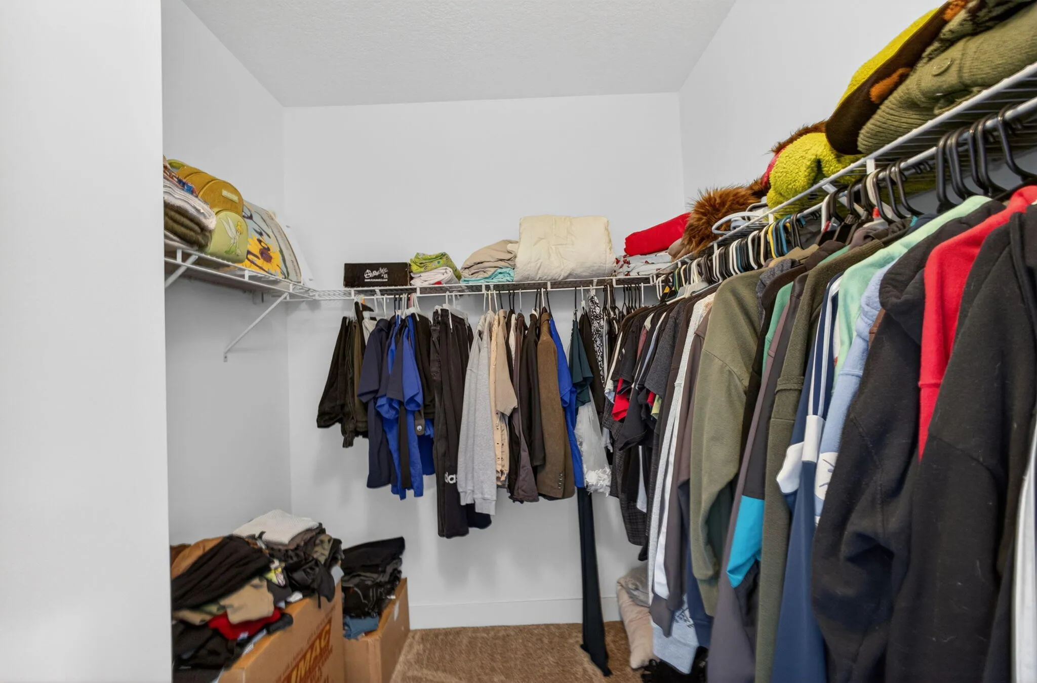 41-web-or-mls-5D1A6706