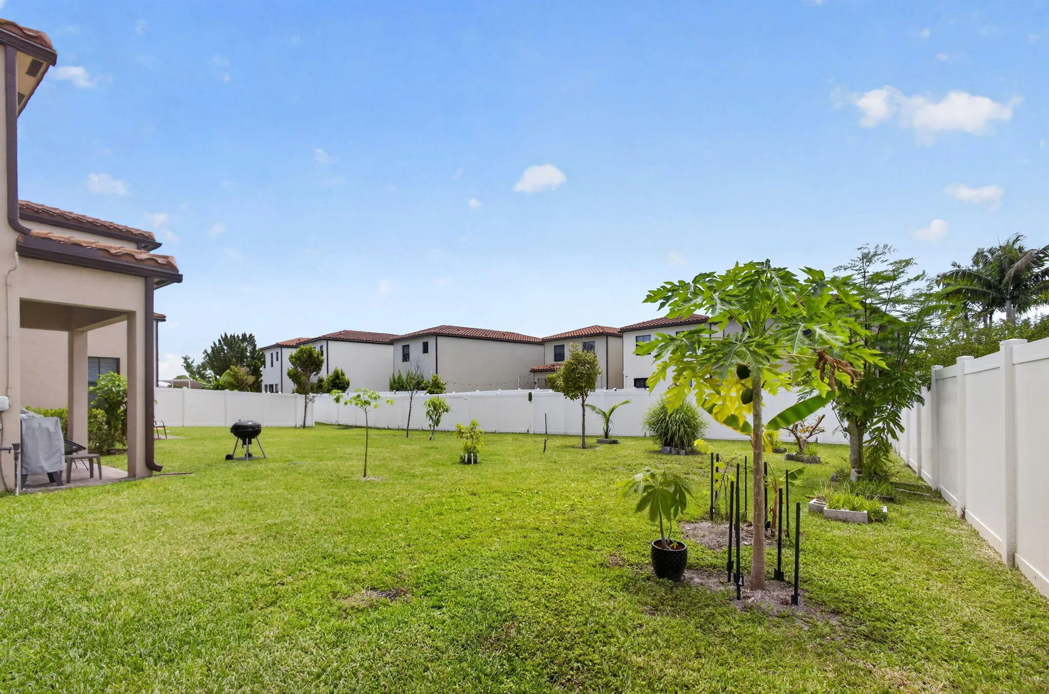 42-web-or-mls-5D1A6711