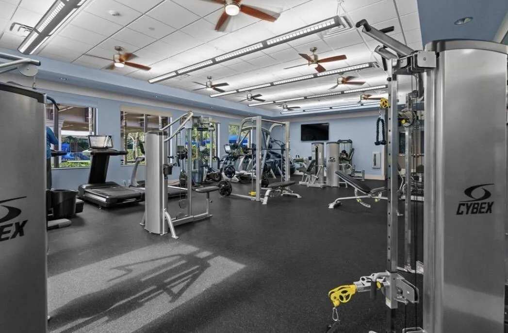 gym 2