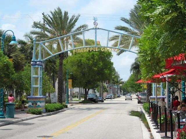 PINEAPPLE GROVE