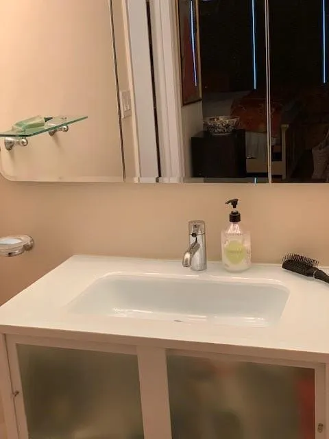 VANITY/SINK MASTER BATH