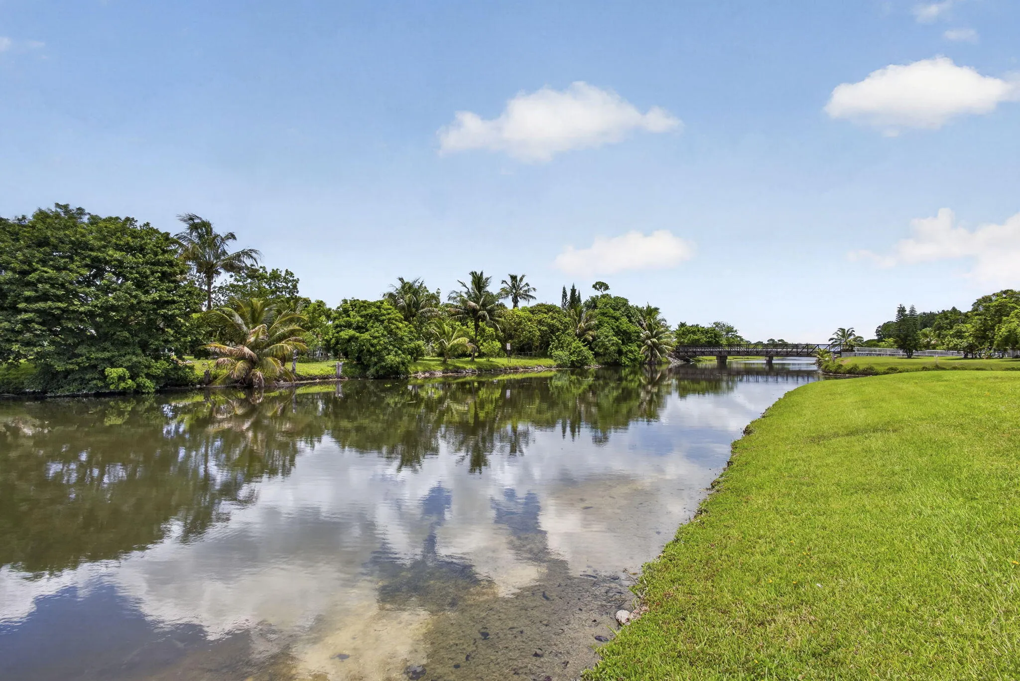 51-web-or-mls-BS1A6956