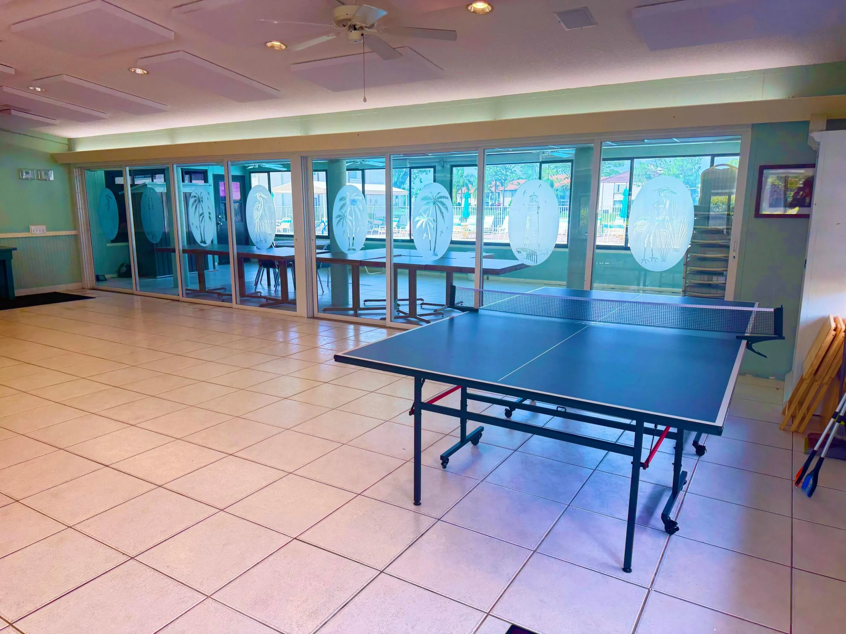 Play table tennis/ Ping Pong here