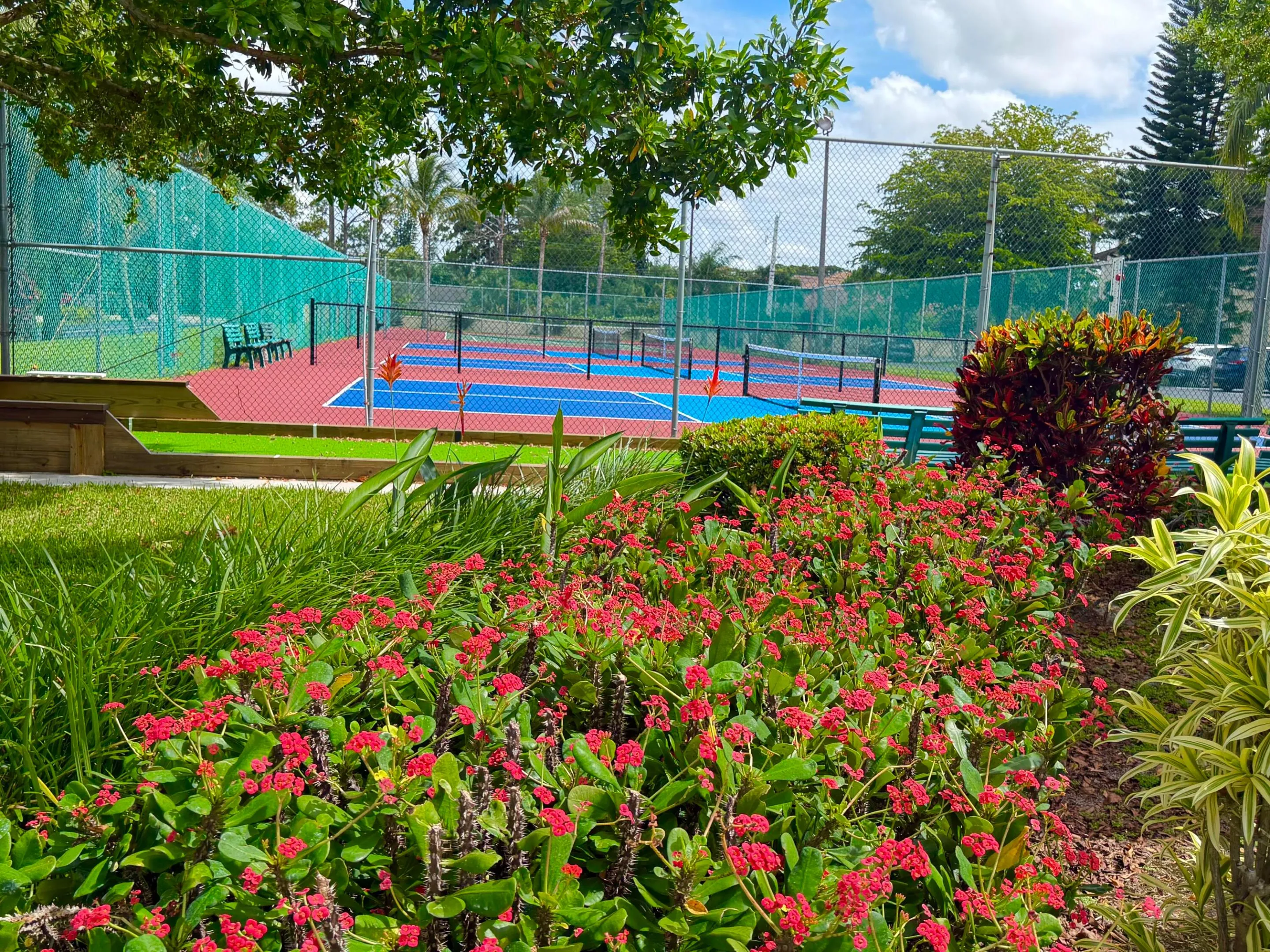 Tennis and Picketball court
