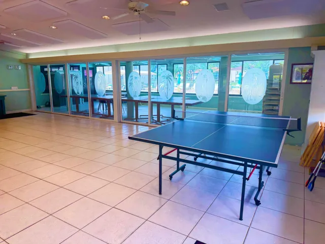 Play table tennis/ Ping Pong here