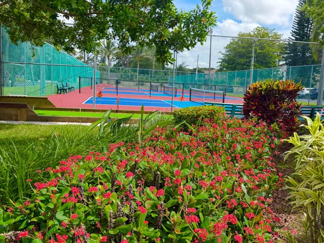 Tennis and Picketball court