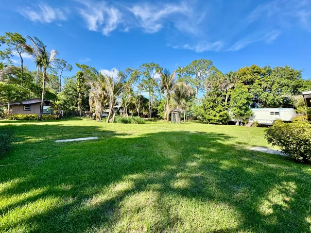 Backyard.